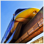 Several hands holding beer glasses