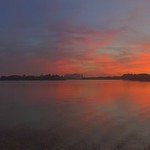 Several hands holding beer glasses