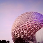 Several hands holding beer glasses